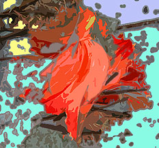 weltsozialforum 2003